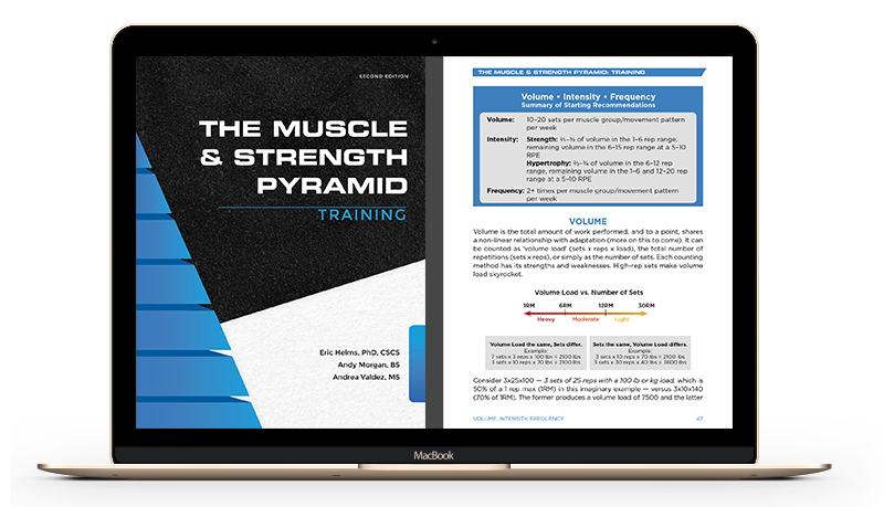 Muscle And Strength Pyramid Pdf