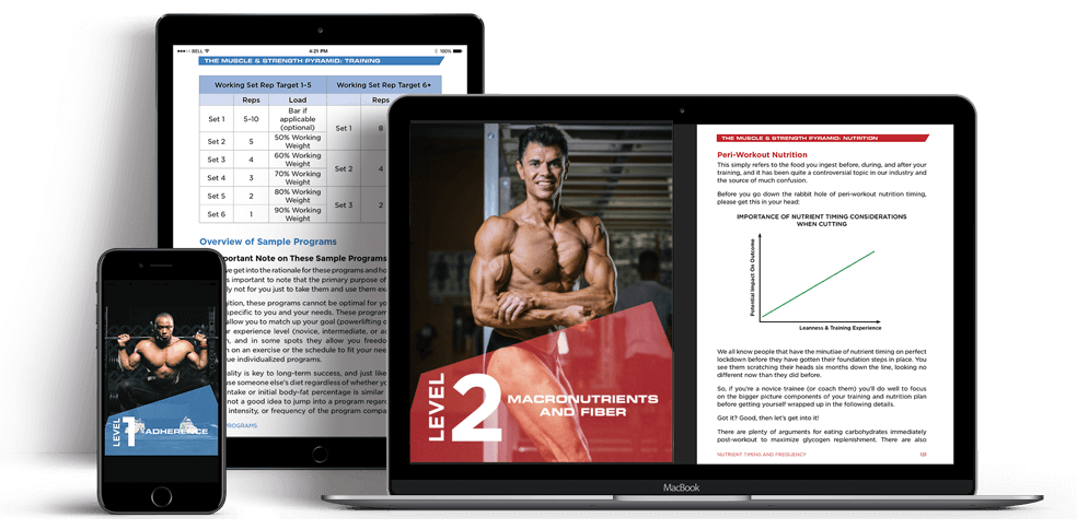the muscle and strength pyramid pdf free
